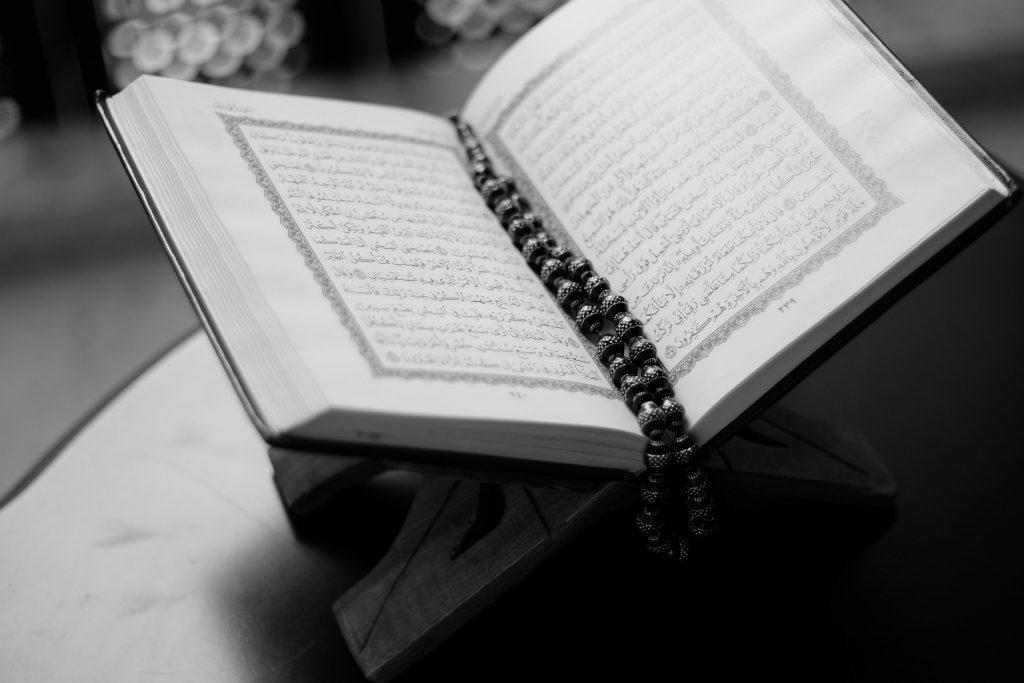 هل السدر مذكور في القرآن الكريم والسنة ؟